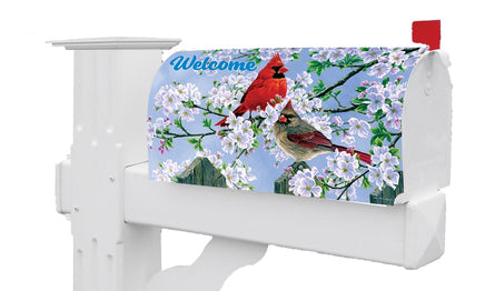 Cardinal Couple 5358MM Mailbox Makeover