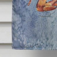 Crab  Flag Canvas House Size