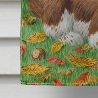 Welsh Springer Spaniel Pups Flag Canvas House Size ASA2116CHF