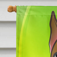 Boxer St. Patrick's Day Flag Canvas House Size BB1967CHF