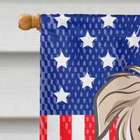 Borzoi Flag Canvas House Size BB2158CHF