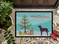 American Water Spaniel Christmas Indoor or Outdoor Mat 24x36 BB2919JMAT