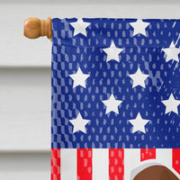 USA Patriotic Welsh Springer Spaniel Flag Canvas House Size BB3300CHF