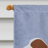 Welsh Springer Spaniel Welcome Flag Canvas House Size BB5504CHF