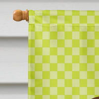 Coypu Nutria River Rat Green Flag Canvas House Size BB7705CHF