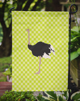Common Ostrich Green Flag Garden Size