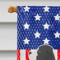 English Springer Spaniel American Flag Canvas House Size BB8354CHF