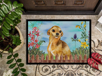 Chihuahua Spring Indoor or Outdoor Mat 18x27 CK1220MAT