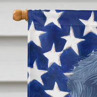 Bouvier des Flandres American Flag Flag Canvas House Size CK6453CHF