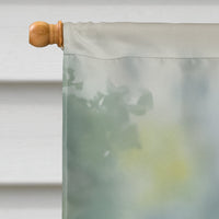 Common Eider Duck House Flag