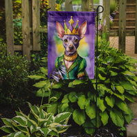 American Hairless Terrier King of Mardi Gras Garden Flag