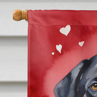 Greater Swiss Mountain Dog My Valentine House Flag