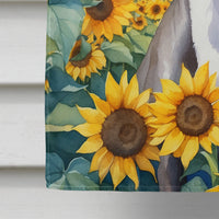 Italian Greyhound in Sunflowers House Flag