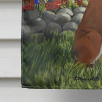 Boxer Got Mail Flag Canvas House Size PPP3039CHF