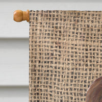 Welsh Springer Spaniel Flag Canvas House Size
