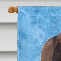 Welsh Springer Spaniel Flag Canvas House Size