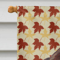 Welsh Springer Spaniel Fall Leaves Portrait Flag Canvas House Size