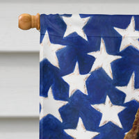 USA American Flag with Springer Spaniel Flag Canvas House Size