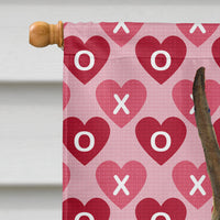 Boxer Hearts Love and Valentine's Day Portrait Flag Canvas House Size