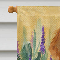 Welsh Springer Spaniel Flag Canvas House Size
