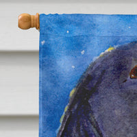 English Springer Spaniel Flag Canvas House Size