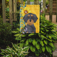 Summer Sunflowers Wirehair Blue and Tan Dachshund Flag Garden Size