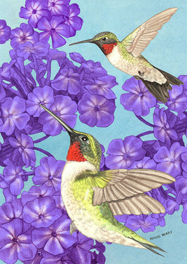 HUNGRY HUNGRY HUMMINGBIRDS FLAG