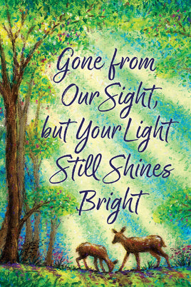 Your Light Shines  4840  Decorative Flag
