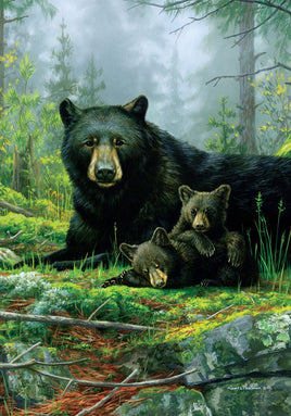Three Bears  4858  Decorative Flag