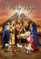 Holy Nativity 5250 Decorative Flag