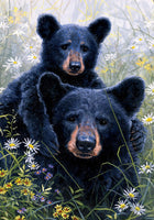 Black Bear Lookout  5401  Decorative Flag