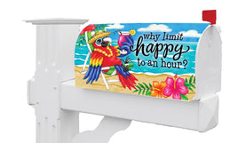 Why Limit Happy 5402MM Mailbox Makeover