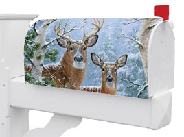 Winter Whitetail 5512MM Mailbox Makeover
