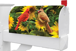 CARDINALS 5598MM Mailbox Makeover