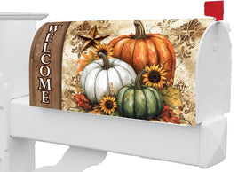 Rustic Pumpkins 5704MM Mailbox Makeover