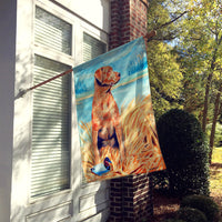 Chesapeake Bay Retriever Flag Canvas House Size