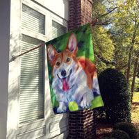 Corgi with green ball Flag Canvas House Size 7296CHF