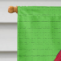 Christmas Santa Fleur de lis Flag Canvas House Size