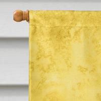 Butterfly on Yellow Flag Canvas House Size