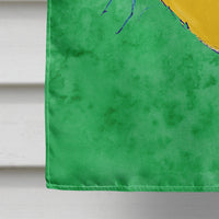 Butterfly Orange on Green Flag Canvas House Size