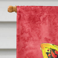 Butterfly on Red Flag Canvas House Size