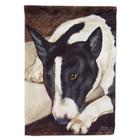 Caroline's Treasures, Carolines Treasures, house flags, dog flags, pet flags, porch flags, outdoor décor, outdoor flags, american made flags, flags made in the US