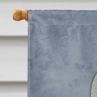 Clear Ribbon for Lung Cancer Awareness Flag Canvas House Size AN1210CHF