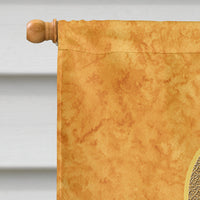 Peach Ribbon for Uterine Cancer Awareness Flag Canvas House Size AN1219CHF