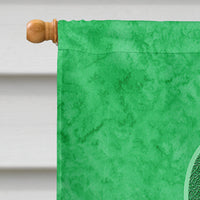 Kelly Green Ribbon for Kidney Cancer Awareness Flag Canvas House Size AN1220CHF