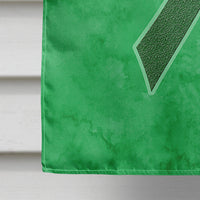 Kelly Green Ribbon for Kidney Cancer Awareness Flag Canvas House Size AN1220CHF