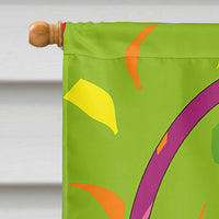 Happy 6th Birthday Age 6 Flag Canvas House Size