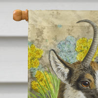 Chamois Flag Canvas House Size ASA2161CHF