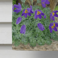 Chamois Flag Canvas House Size ASA2161CHF