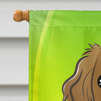 Cavalier Spaniel St. Patrick's Day Flag Canvas House Size BB1968CHF